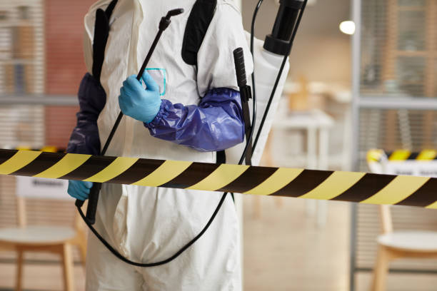 Professional Hoarding Cleanup technician working in Cummaquid, MA